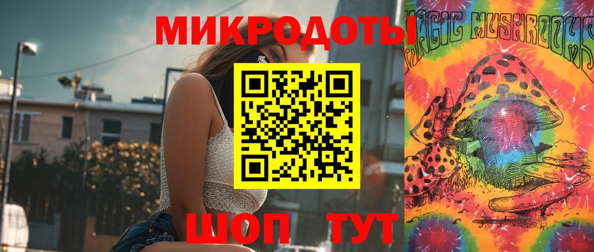 Галлюциногенные грибы прущие грибы Кандалакша