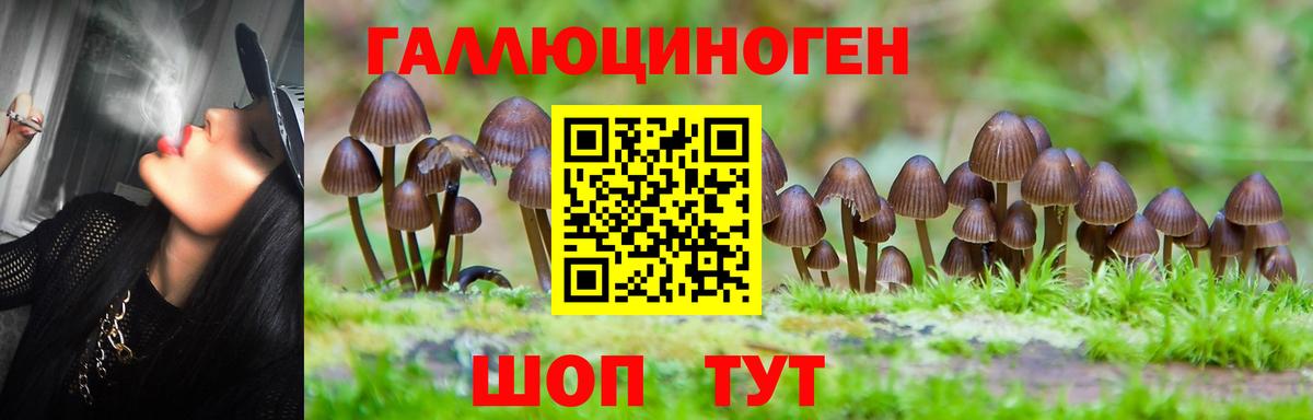Кандалакша  купить   Вход с VPN  Псилоцибиновые грибы прущие грибы 